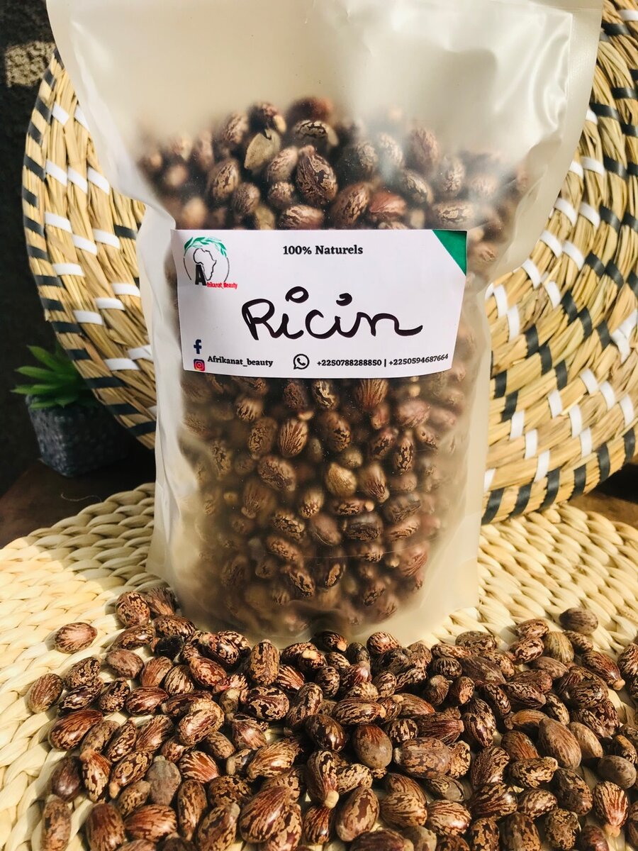Graine de ricin 1KG