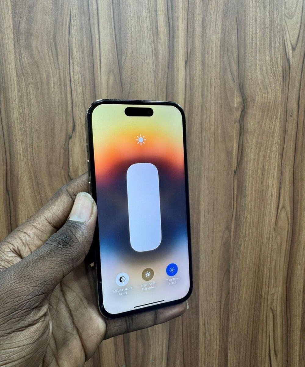 iPhone Pro Max Argent