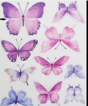 Assorted Butterflies 