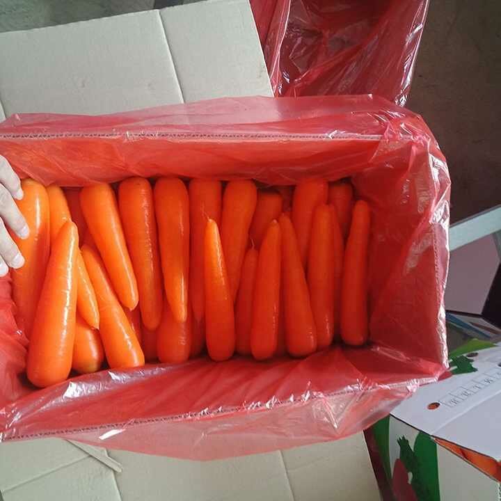 Carrots