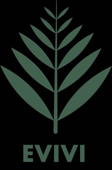 EVIVI