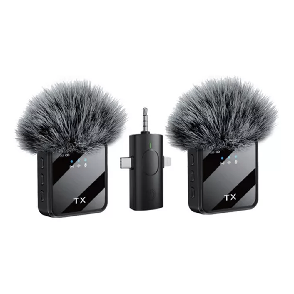 F11-2 Wireless Microphone Set