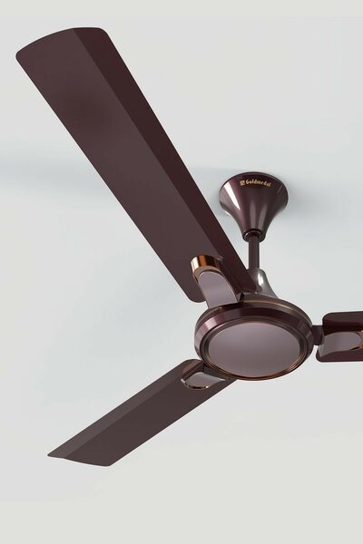 Ceiling fan
