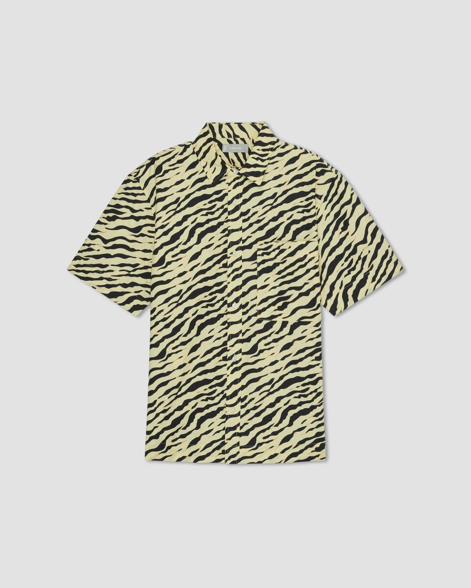 Everlane Shirt