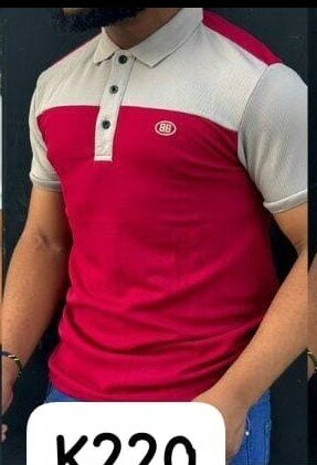 Beautiful and stylish Polo shirt