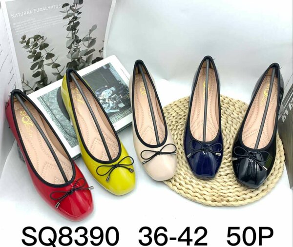 Ballerines élégantes couleur variée