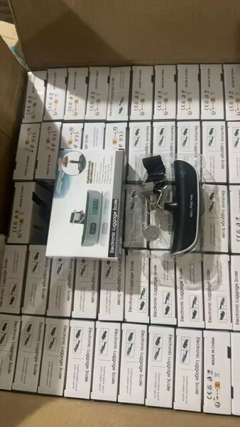 Electronic luggage Scale