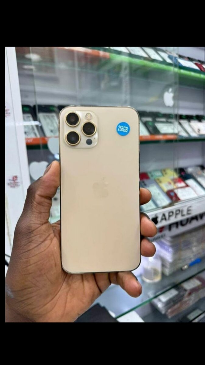 iPhone 12 Pro Max 256Go