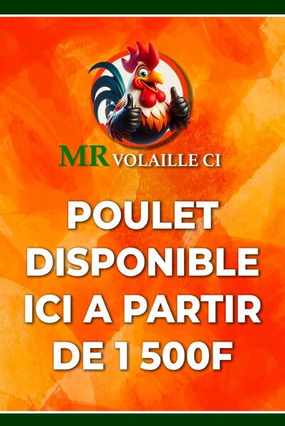 Mr VOLAILLE CI