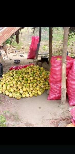 fruits de la passion
