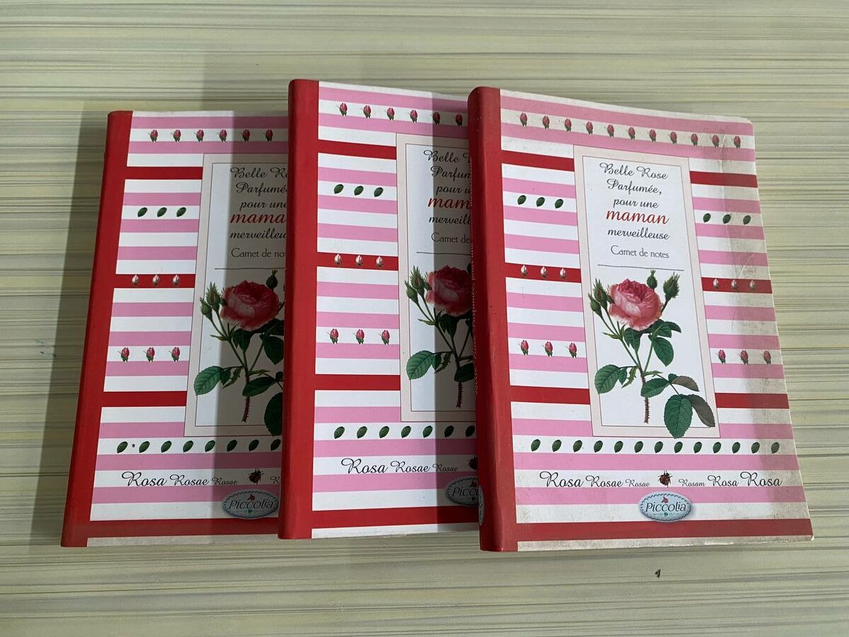 Carnet étoilé A6 élégant