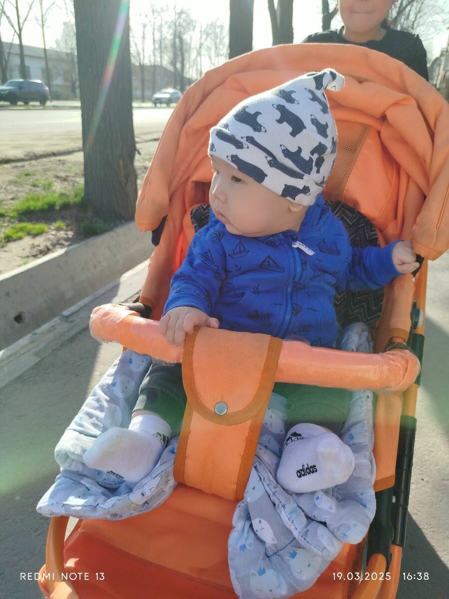 Коляска Польский 3в1