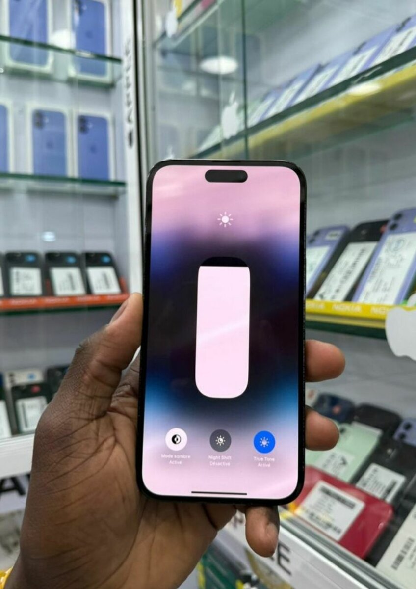 iPhone 13 Pro Max, 256 Go