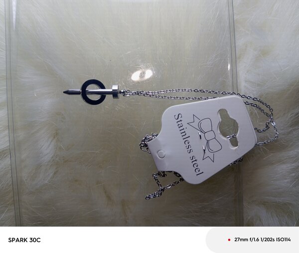 Collier en acier inoxydable élégant