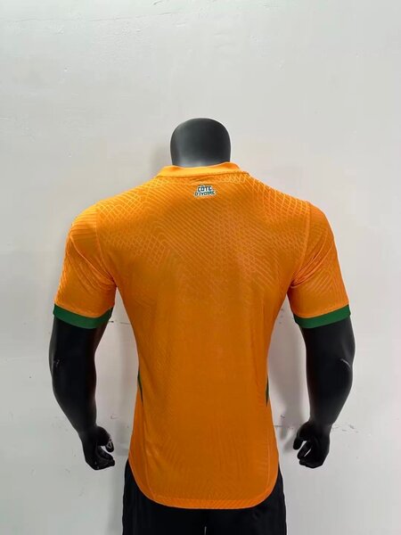 Maillot de Côte dIvoire 3 étoiles 2025