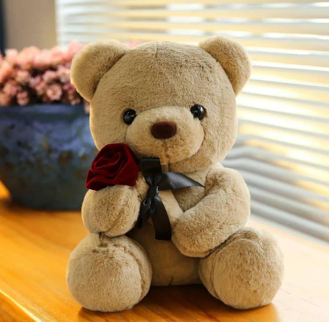 Adorable Teddy Bear Fluffy