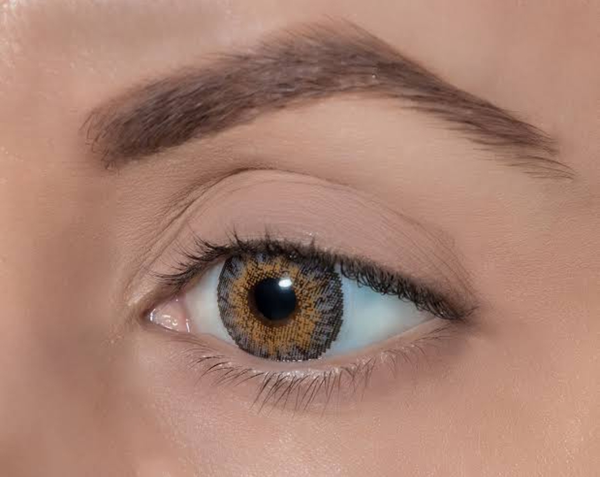 Fresh Color Lenses Gray