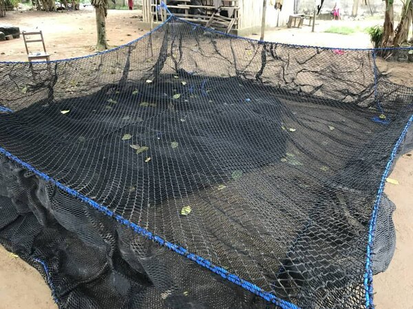 Cage d élevage poisson