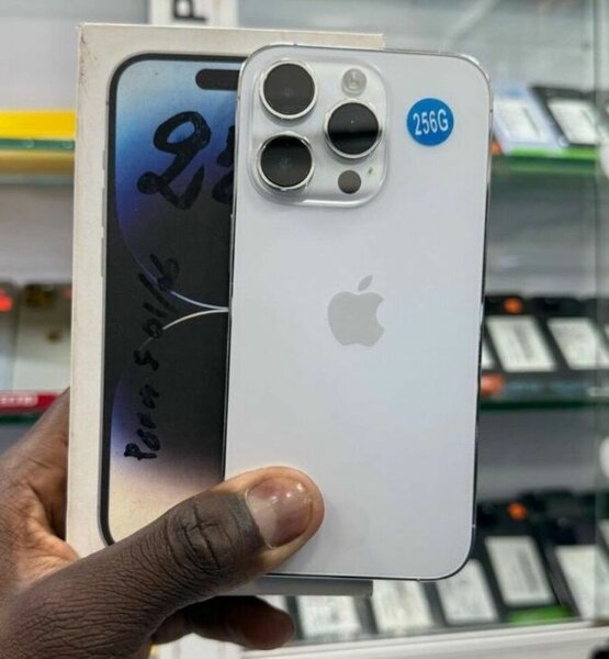 iPhone 256 Go argent