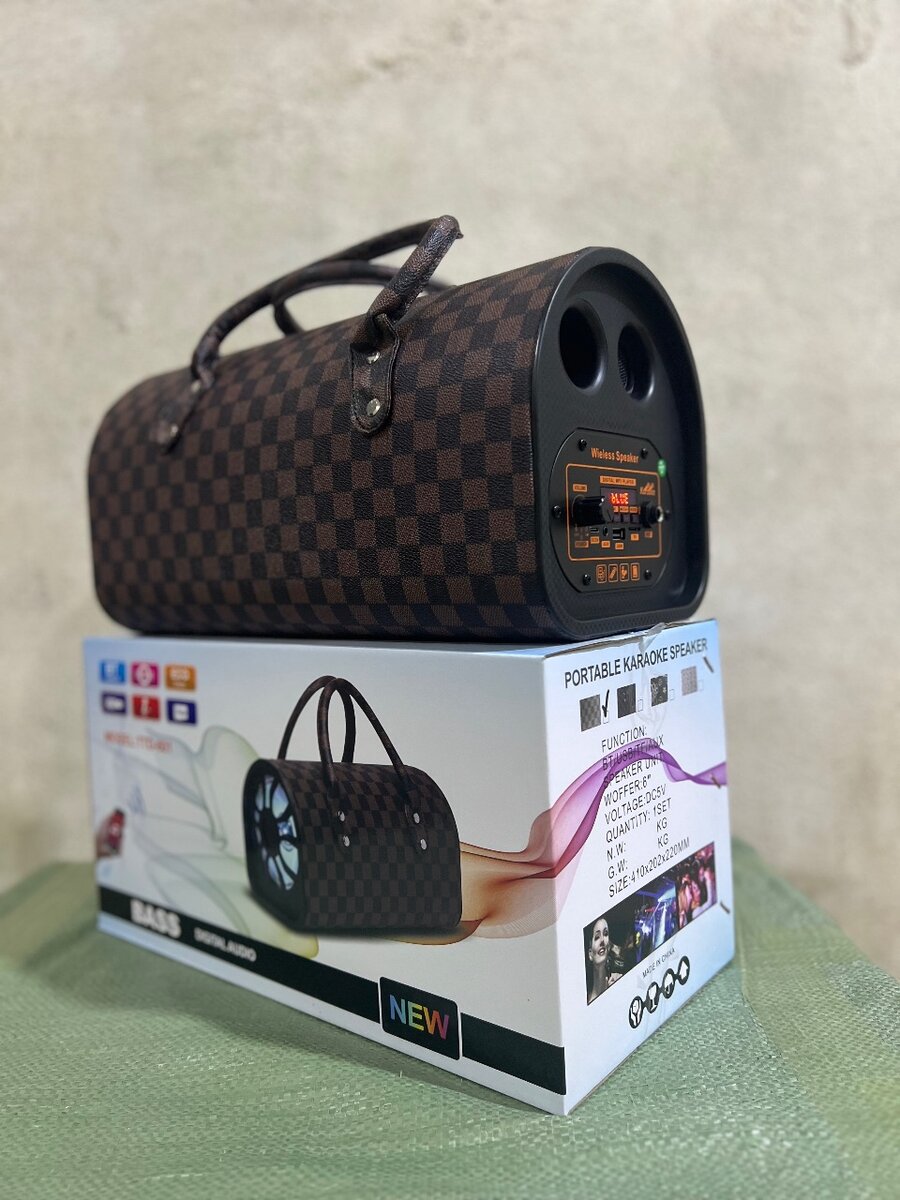 Enceinte Bluetooth Portable Karaoke