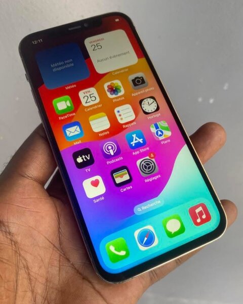 iPhone 12 Pro Max Argent