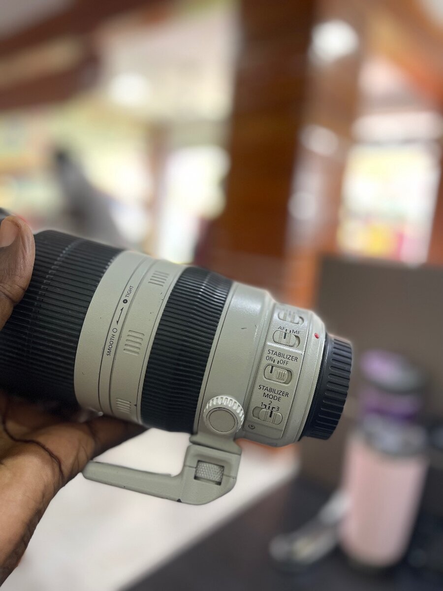 Canon Ef 100-400mm F/5.6l IS Li Usm Zoom Lens