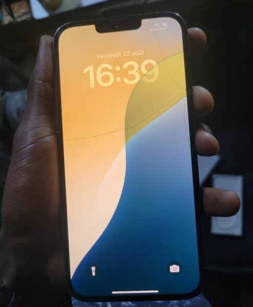 iPhone 13 Pro Max Réparé