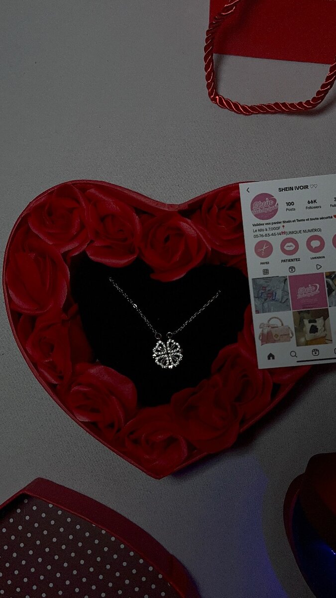 Collier Cœur Élégant