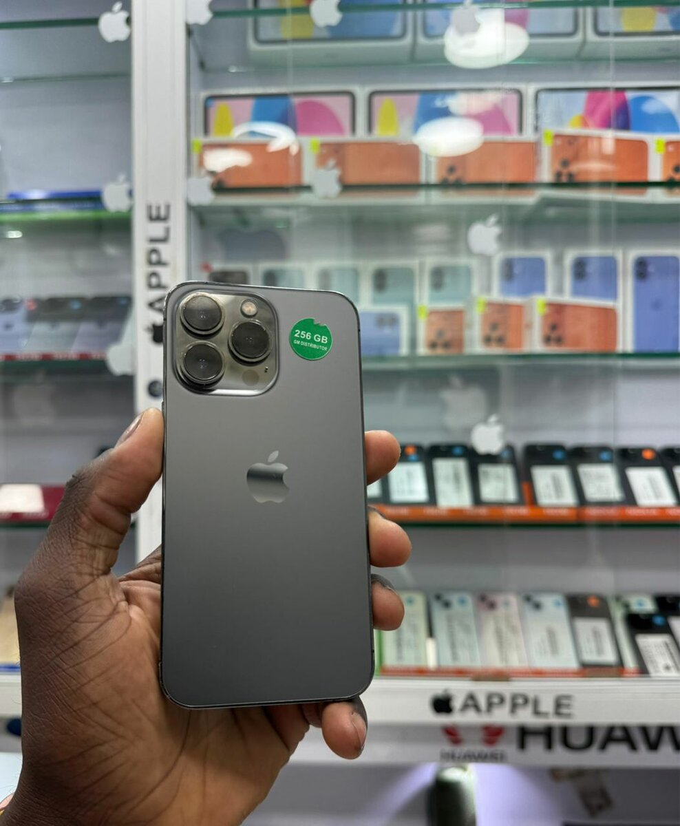 iPhone avec 256 Go - Gris