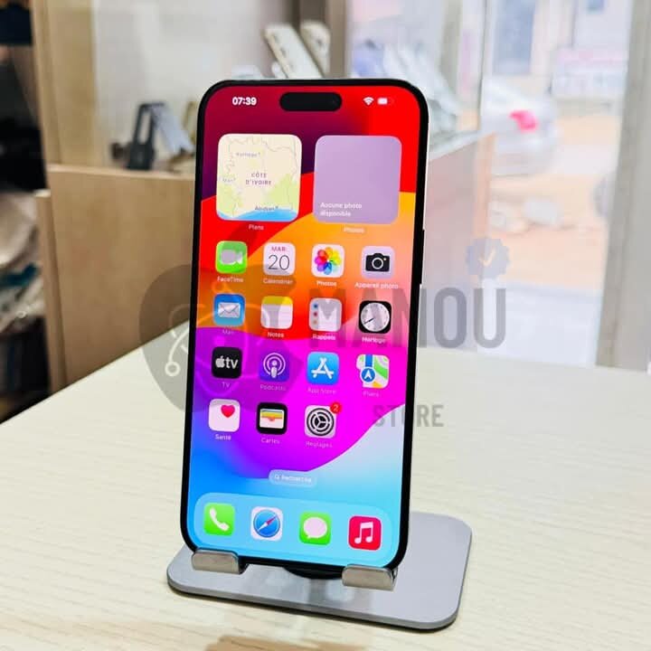 iPhone Pro Max 256Go