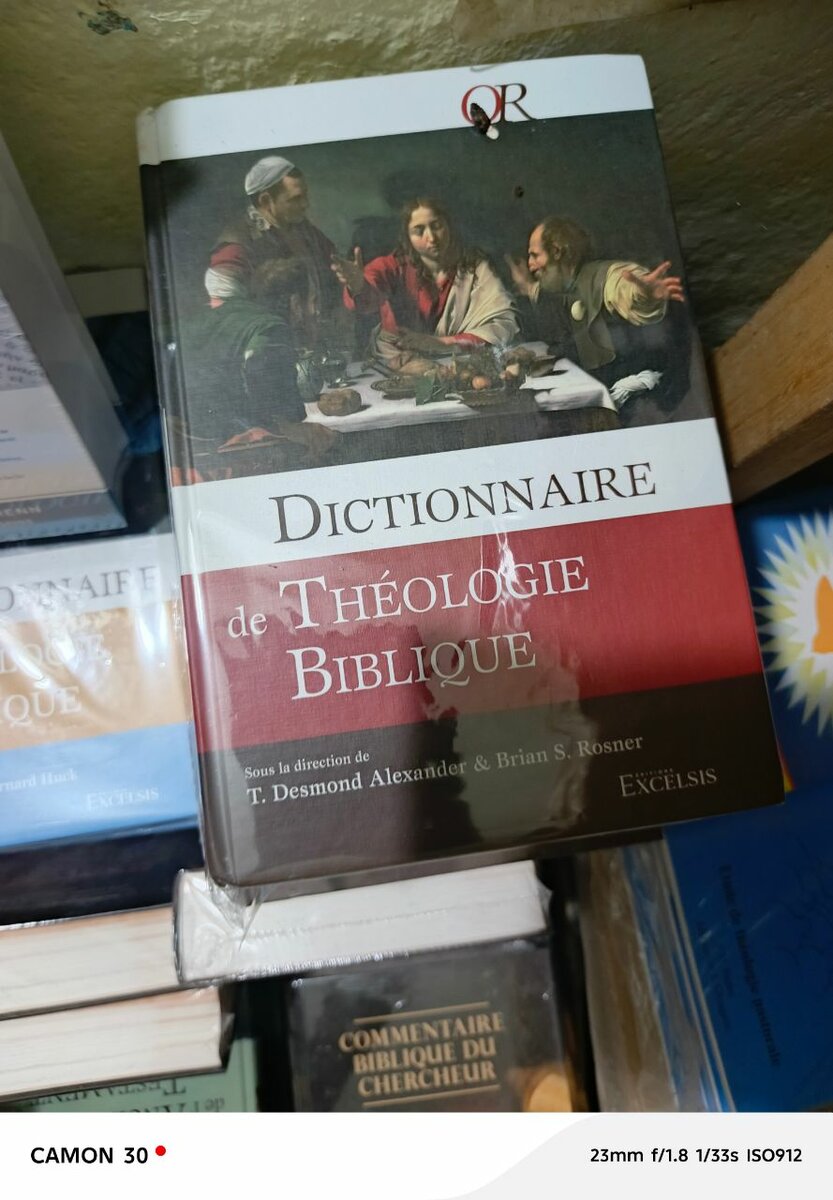 Dictionnaire de Théologie Biblique