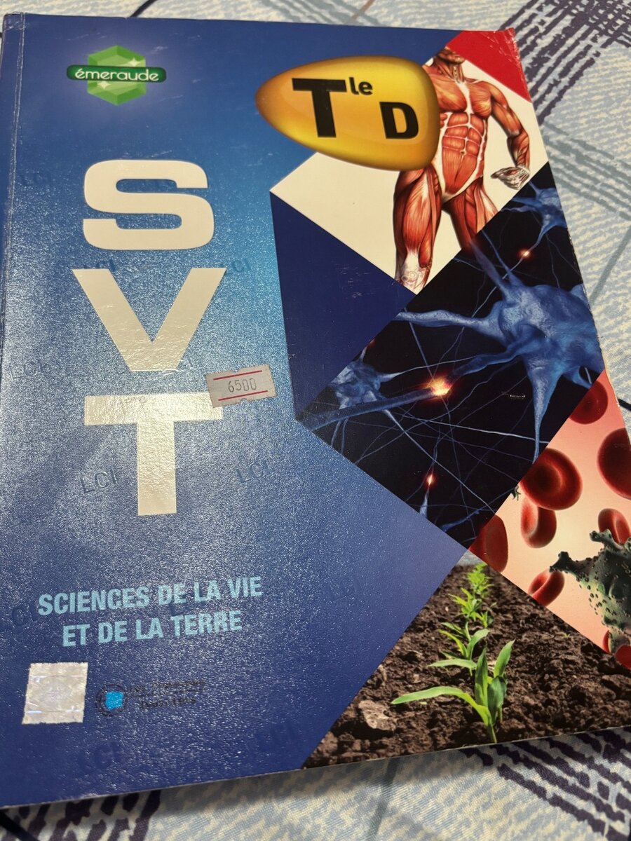 Livres scolaires Tle D