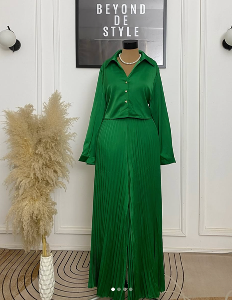 THE ELEGANT LADY PLEATED TWO PIECE SET.