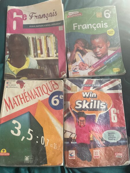 Lot de manuels scolaires 6e