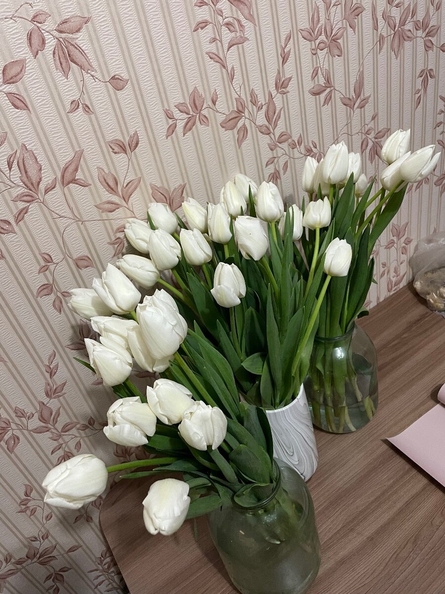 Луковицы голландских тюльпанов