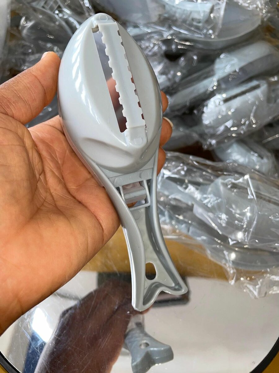 Écailleur de poisson