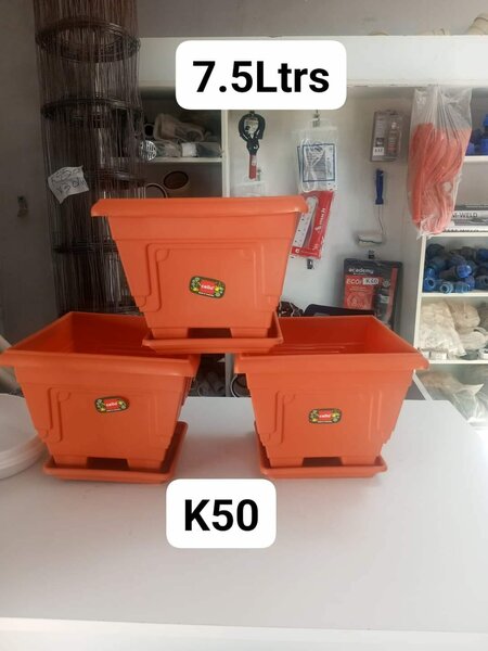 terracotta flower pots