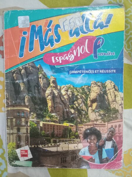 Livre Espagnol ¡Más Allá!