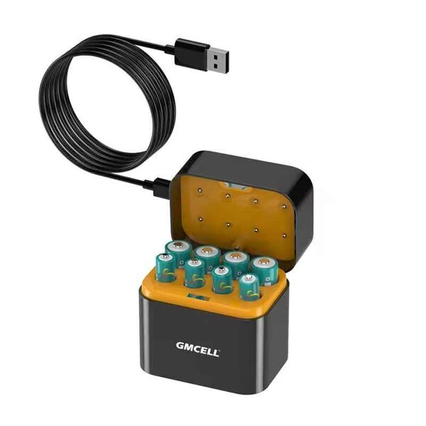 Chargeur de Batteries Rechargeables