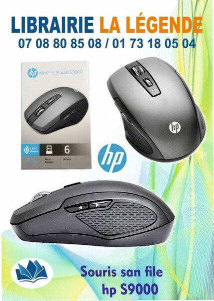 SOURIS