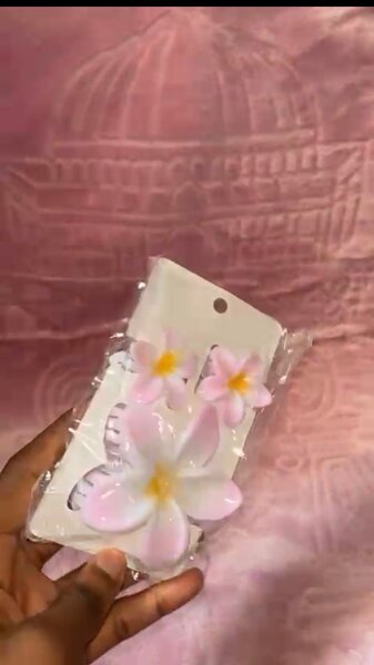 Barrettes fleurs tropicales