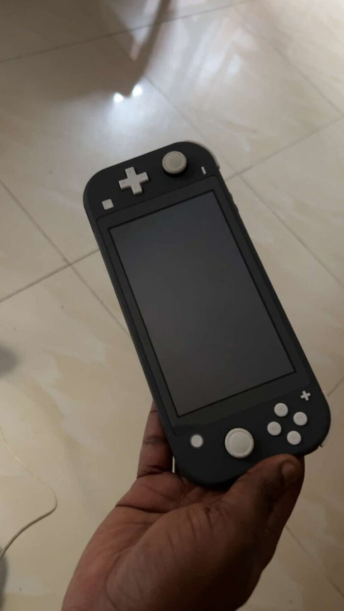 Nintendo switch Lite