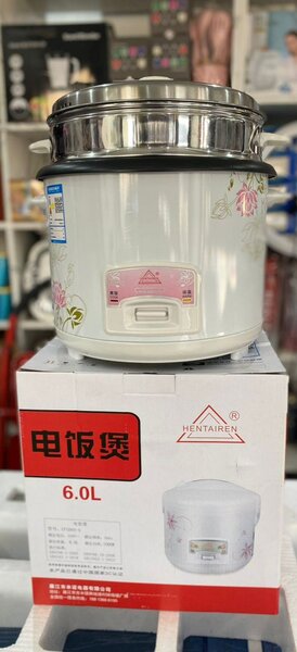 6l Electric cooker