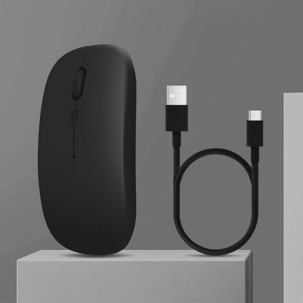 Souris rechargeable
