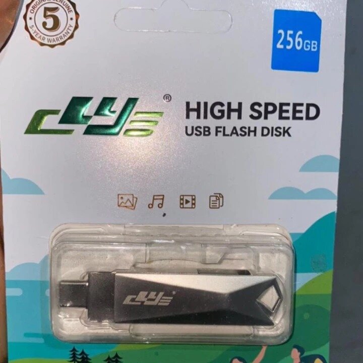 256GB flash drives