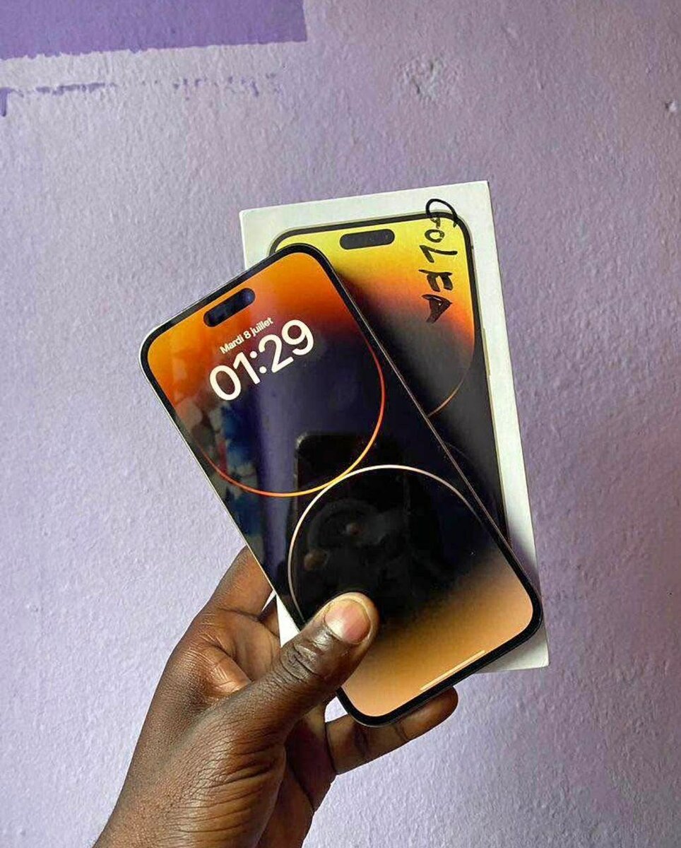 iPhone 15 pro max 264Go