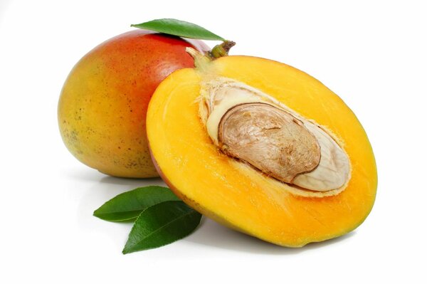Huile de mangue