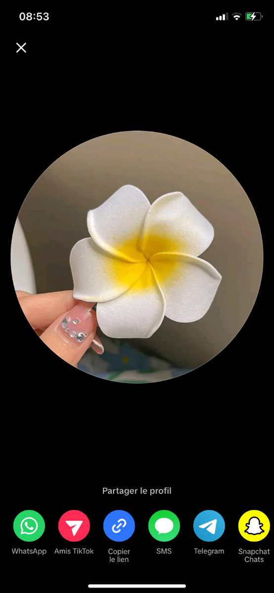 Fleurs décoratives en mousse colorées