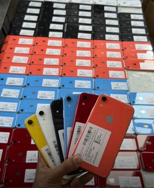 iPhone XR élégant et coloré