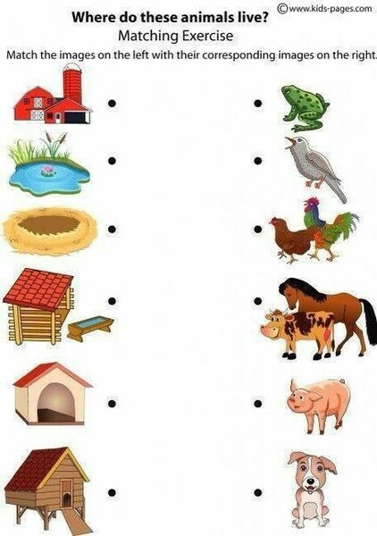 10+Электрондук китептер. +21кунго ППкурсу